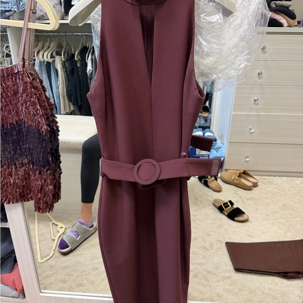 cinq a sept Burgundy Sleeveless Midi Dress with Circle Belt